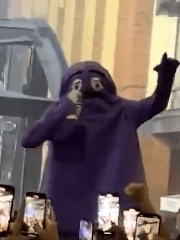 Fan in Grimace costume chugs beer during rain delay in wild Subway Series scene